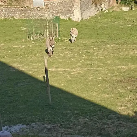 Les Petits Sabots En Appartement